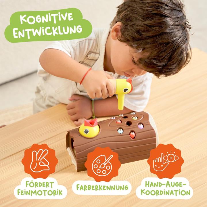 Actual product image Activity Board Educational bird feeding toy