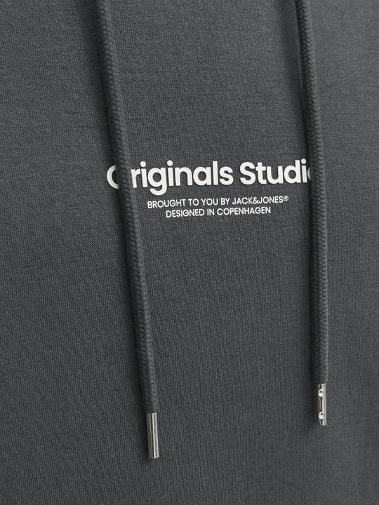 Image du produit Jack & Jones Sweat à capuche (XL)