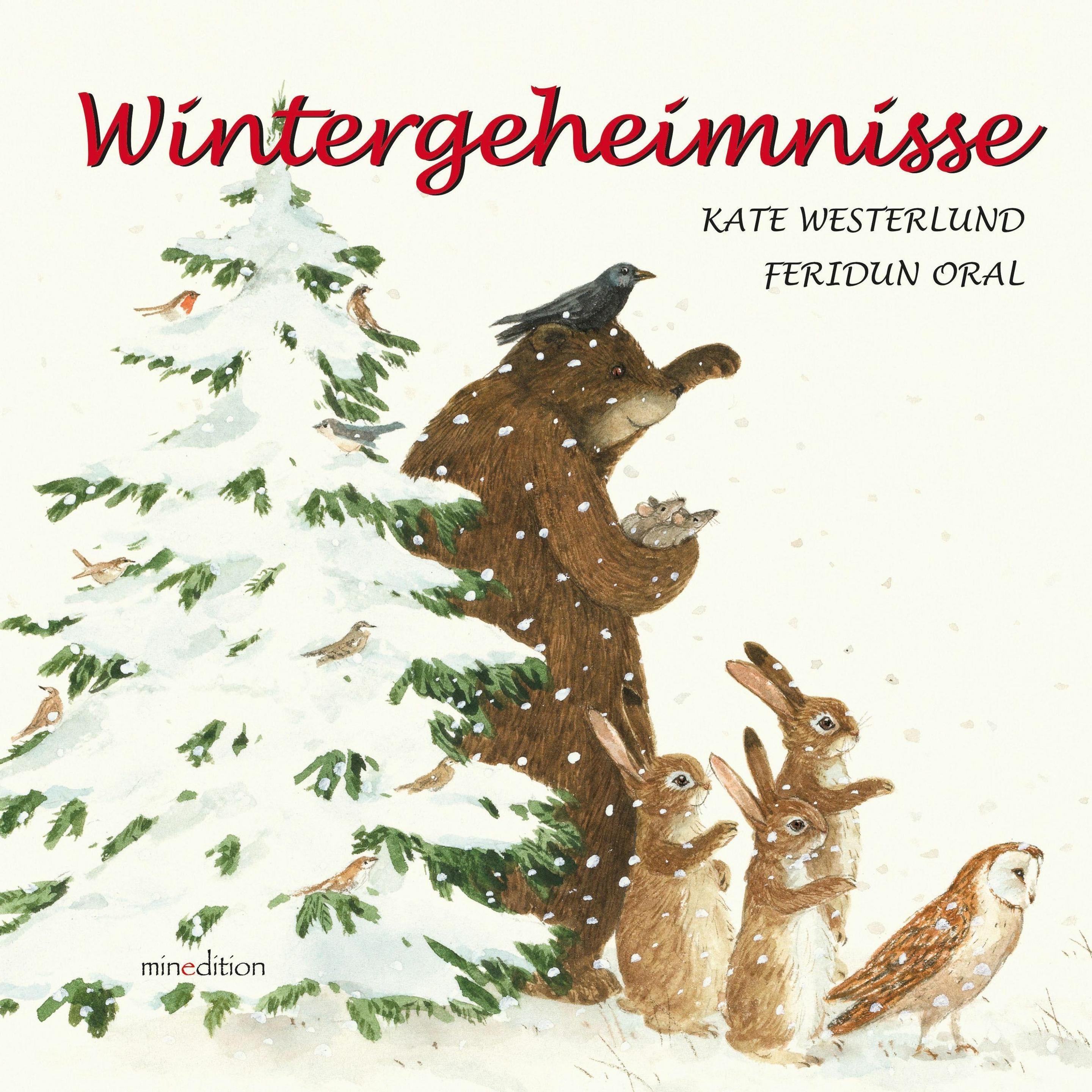 Wintergeheimnisse, Kinderbücher von Kate Westerlund