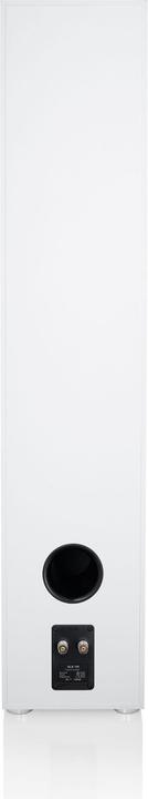 Actual product image Canton GLE 100 (1 pair)