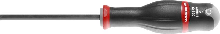 Actual product image Facom Allen key