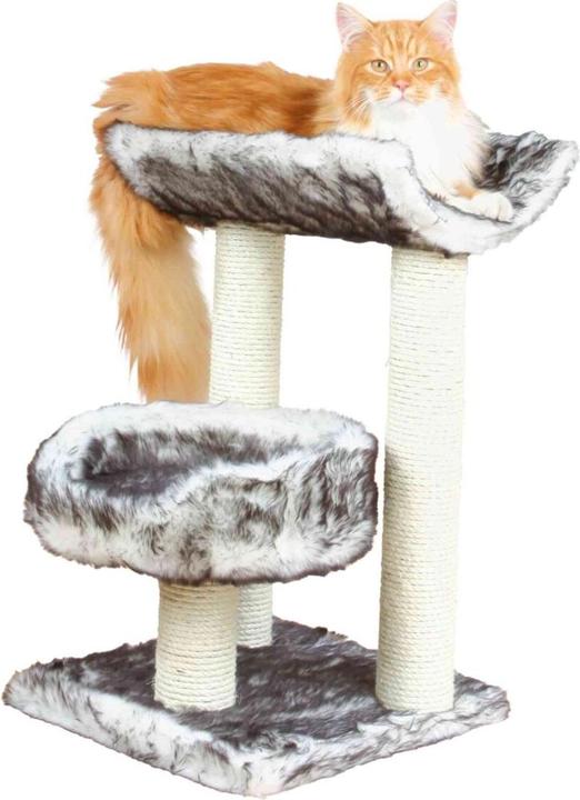 Produktbild Trixie Kratzbaum Isaba (57 cm, Grau, Natural)