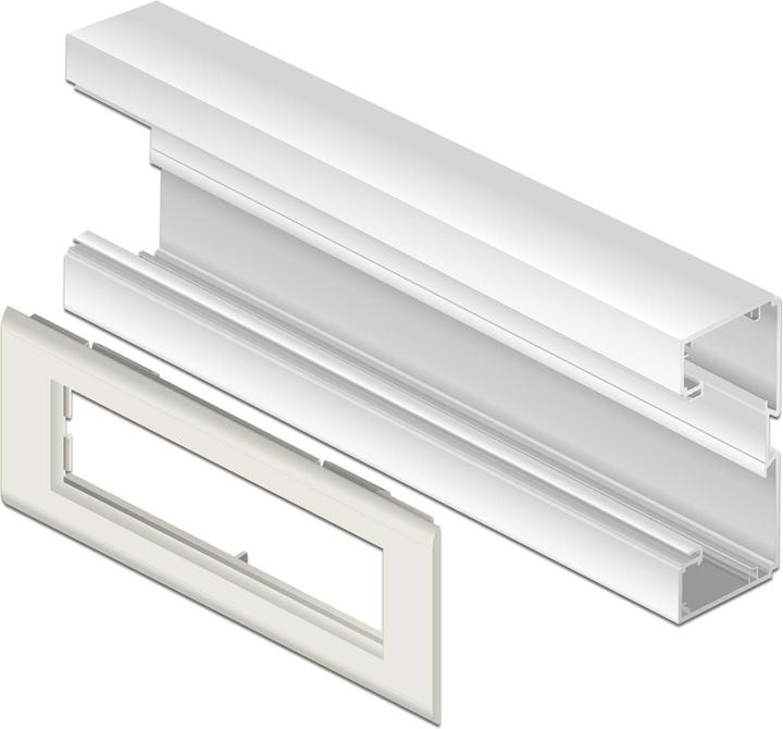 Produktbild Delock Easy 45 Modulträger für Geräteeinbaukanal 175 x 80 mm (17.50 cm)
