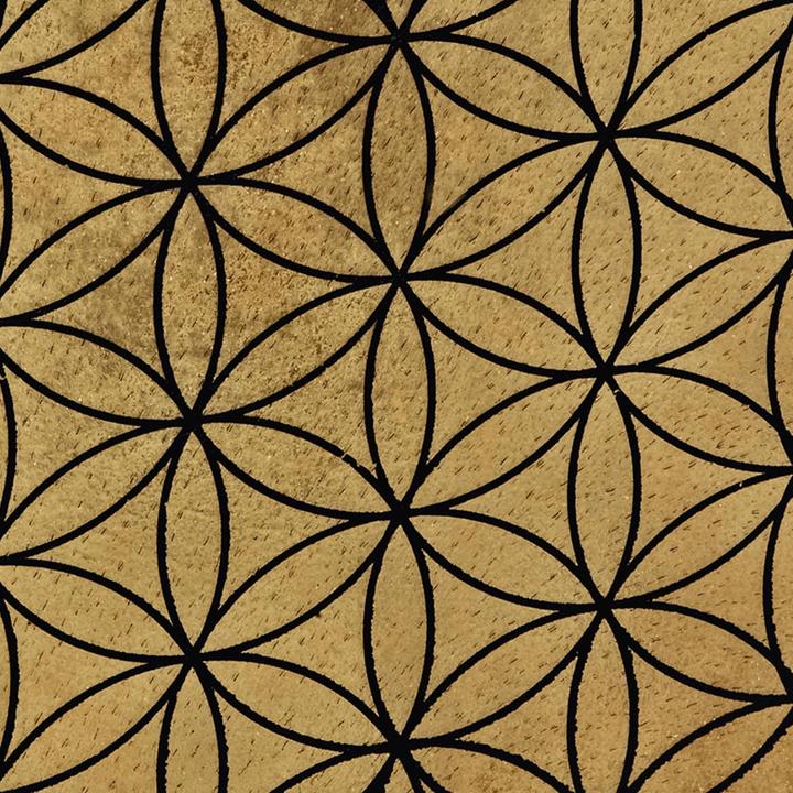 Actual product image Meinl Flower of life frame drum (Percussion)