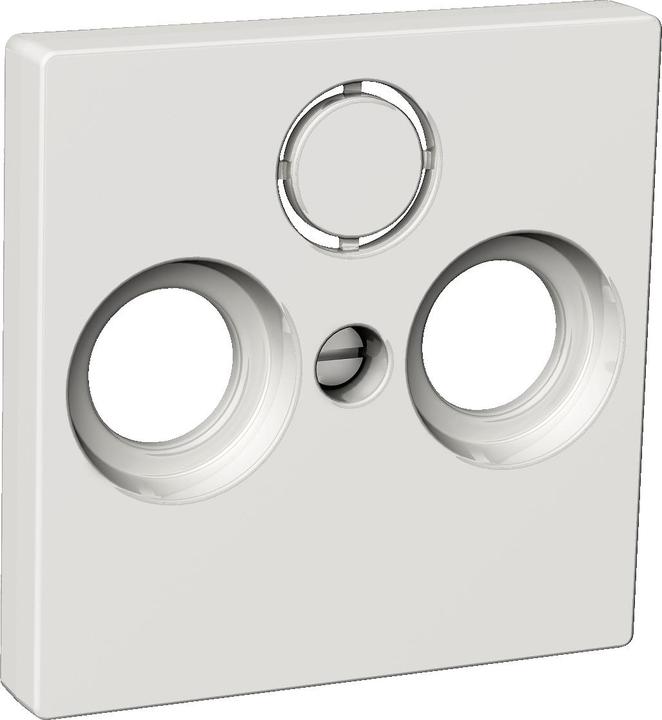 Actual product image ELSO Central plate