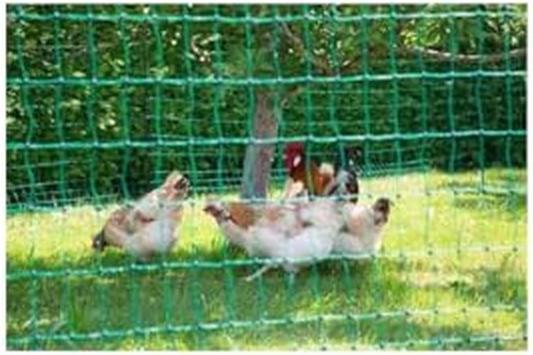 Actual product image Kerbl PoultryNet