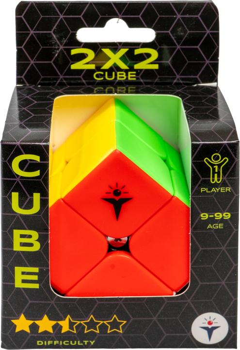 Recent Toys Cube Economy (2 x 2)