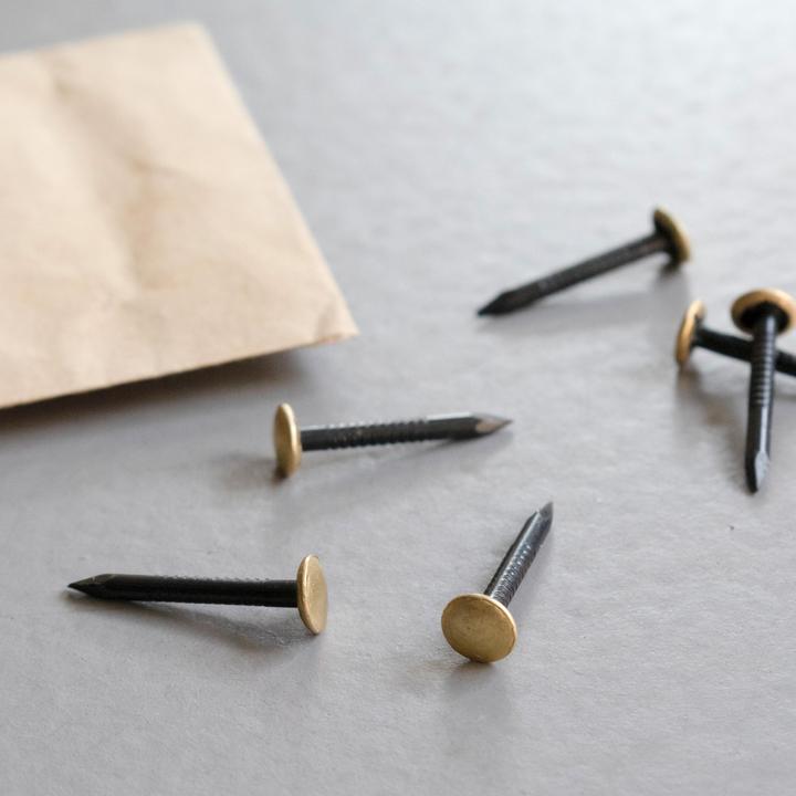 Actual product image Tox Picture Nail Home Classic with Brass Head 2.0 x 40mm (20 Piece, 40 mm)