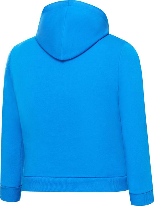 Immagine prodotto Puma teamGOAL 23 Casuals Felpa con cappuccio Jr-656711 (116)