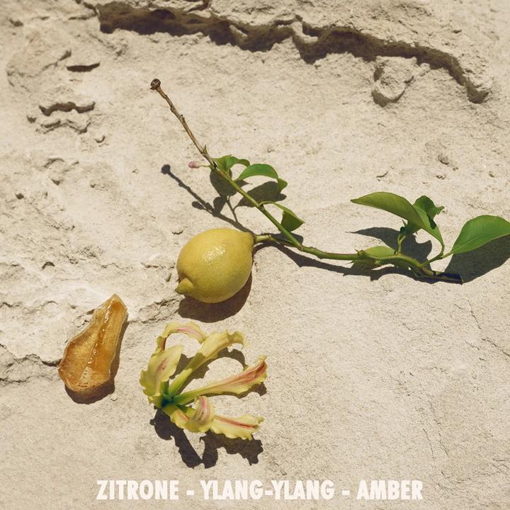 Actual product image Jil Sander Sun (Eau de toilette, 75 ml)