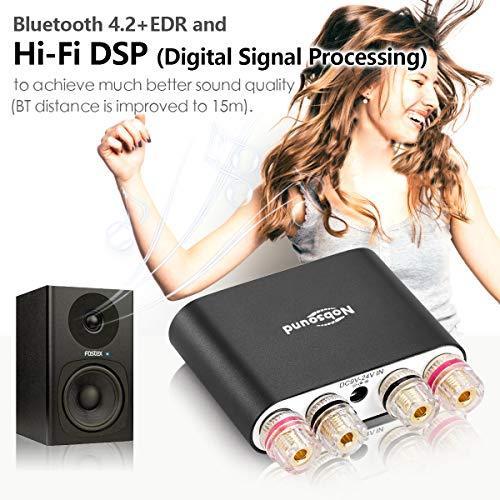 Immagine prodotto Nobsound NS-10G Pro (Amplificatore)