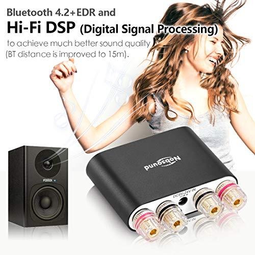 Actual product image Nobsound NS-10G Pro (Amplifier)