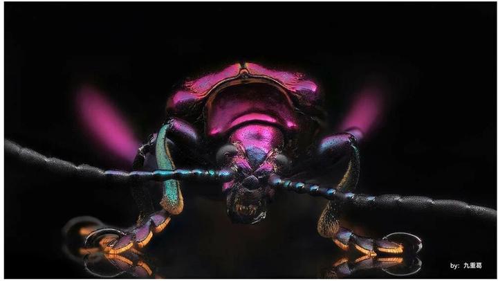 Actual product image TTArtisan 40mm F/2.8 Fujifilm X (Fujifilm X, APS-C / DX)