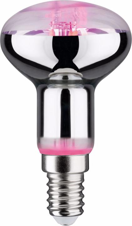 Paulmann Grow Green Pflanzenlampe R50 (E14, 100 lm, 1 x)