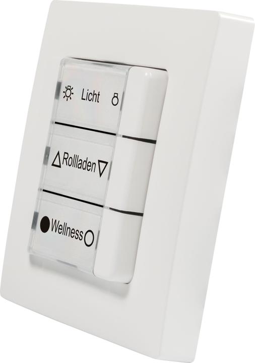 Actual product image Rademacher DuoFern multiple wall push-button BAT 9494-1