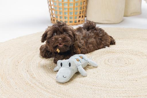 Immagine prodotto Beeztees Giocattolo per cani Puppy Crocodile Jake (Cane di peluche)