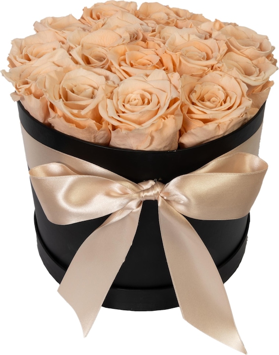 apricot (black box)