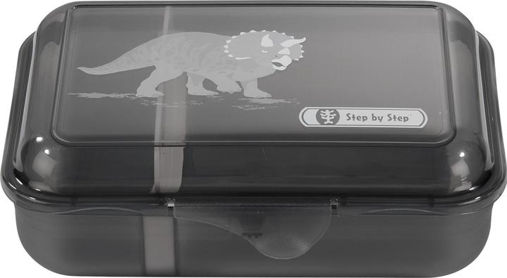 Step by Step Dino Life lunch box