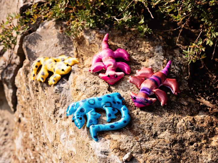 Image du produit Creotime Lézards textiles