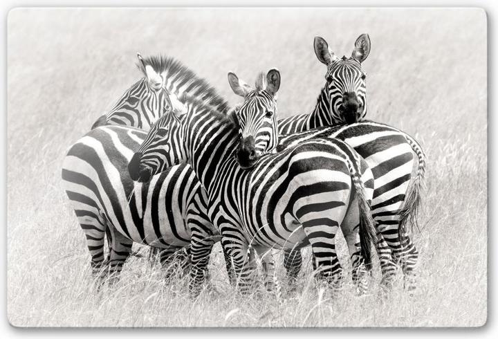 Image du produit Trenddeko Trubitsyn - Zèbres dans la savane (60 x 40 cm)