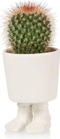 Produktbild Bitten Gladiator Sandal Planter Small