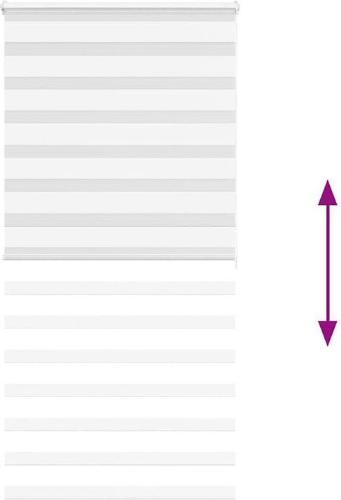 Produktbild vidaXL Zebra-Jalousie (95 x 200 cm)