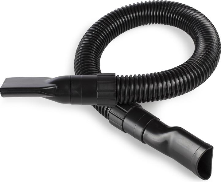 Actual product image Princess Turbo Tiger