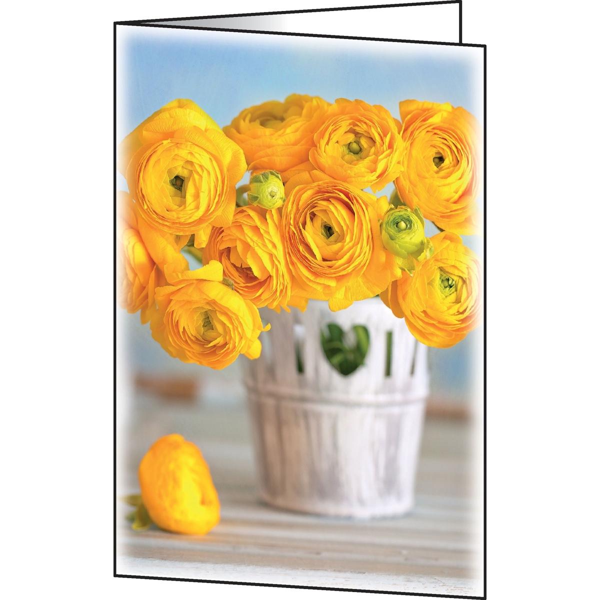 Sigel, Grusskarte + Briefpapier, 10 Grusskarten Ranunculus DIN A6 (10 Stk.)