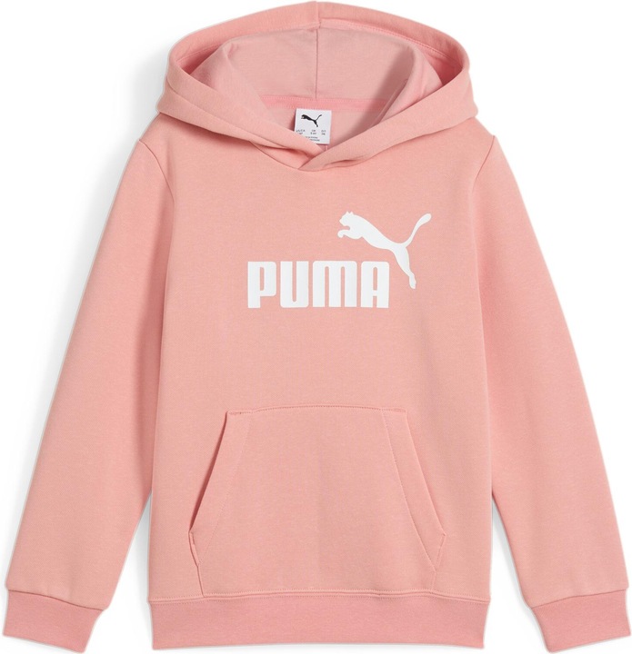 Puma ESS No. 1 Logo Hoodie FL PS