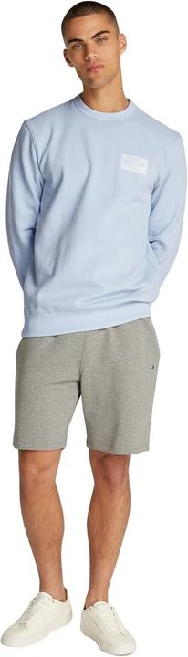 Actual product image Tommy Hilfiger Monotype Label Sweatshirt (L)