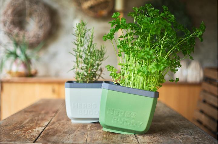 Actual product image Gusta Garden Herbs Buddy (16 x 16.30 x 14.50 cm)