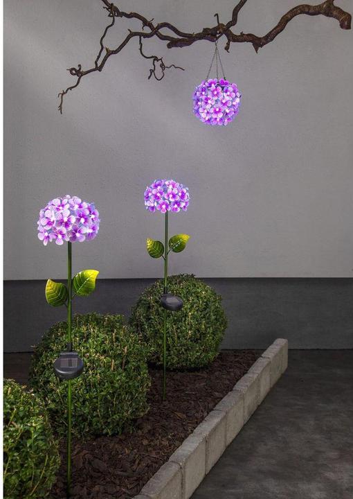 Produktbild Star Trading Hortensia (IP44)