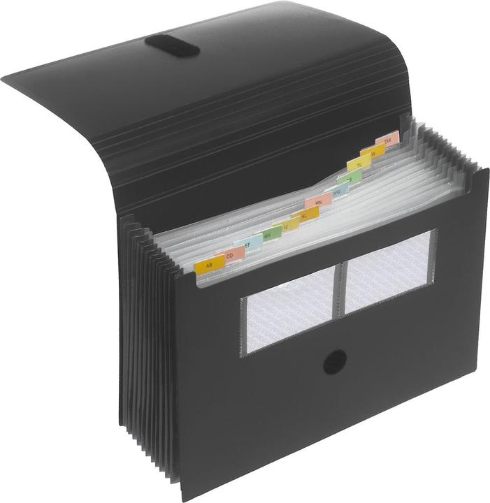 Actual product image Foldersys Fan folder (A4, 1 x)