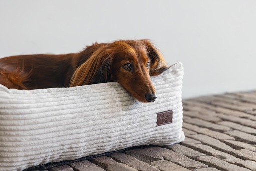 Image du produit Designed by Lotte Lit de repos Ribbed (Chien)