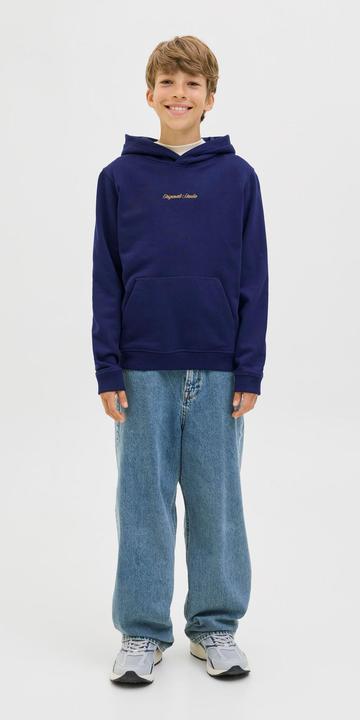 Actual product image Jack & Jones Jornorrebro Emb Sweat Hood Noos Jnr (128)
