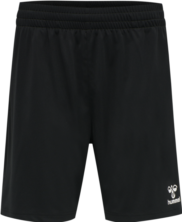 Actual product image hummel Referee Chevron Shorts (L)