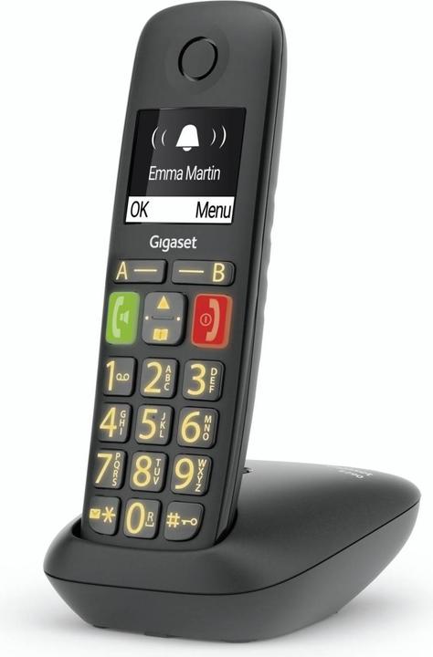 Produktbild Gigaset E290 Duo (DE-Version)