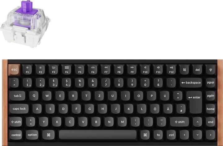 Keychron K2 HE Knob 75% Alu RGB Gateron Magnetic bk H