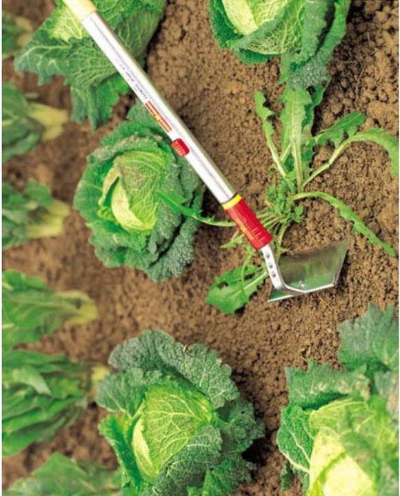 Actual product image Wolf-Garten HW-M Hoe