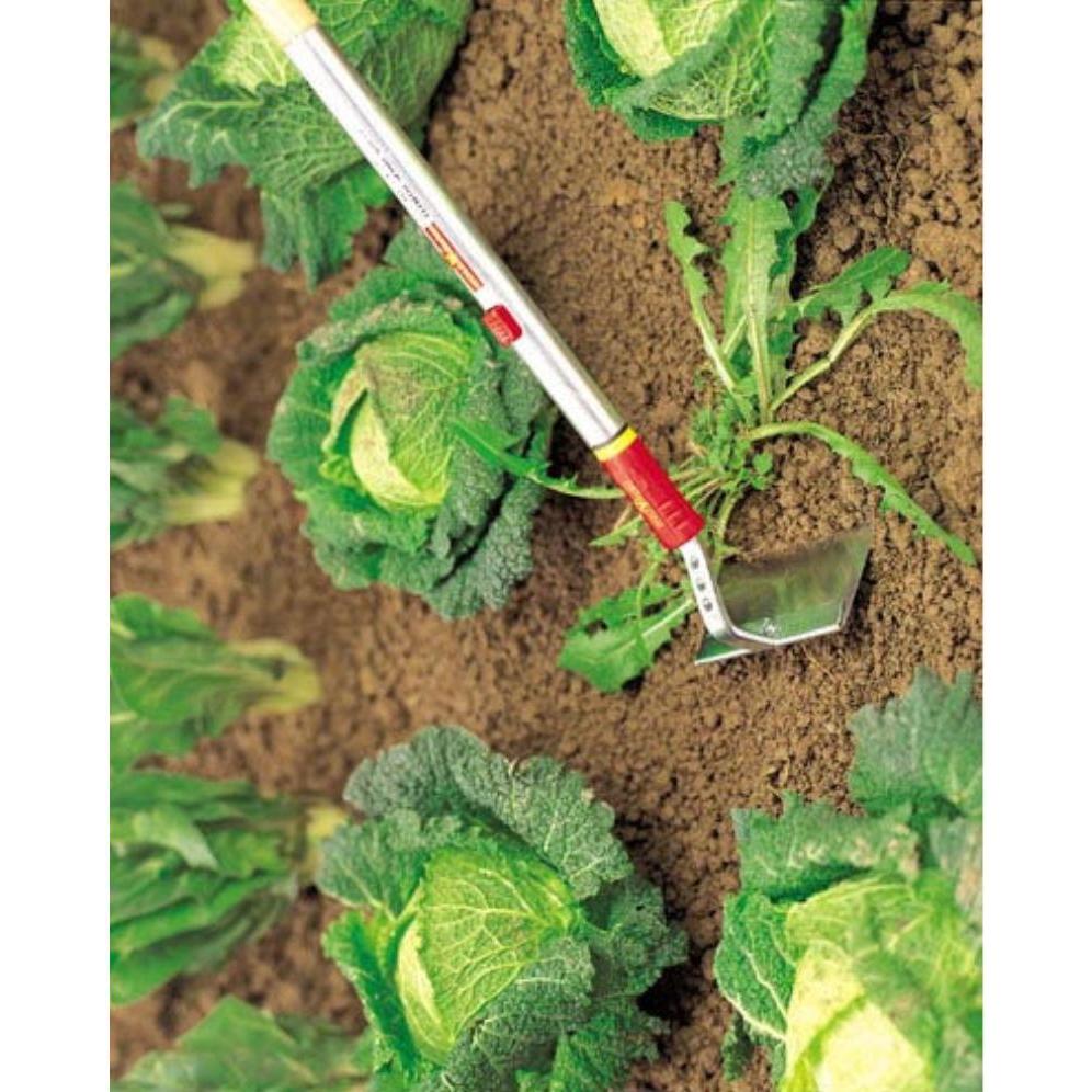Thumbnail - Wolf-Garten, Gartenhandwerkzeug, HW-M Hacke