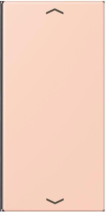 Produktbild JUNG Taste