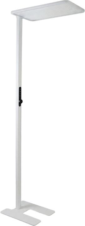 Enovalite Lampadaire de bureau LED à réglage en hauteur avec capteur