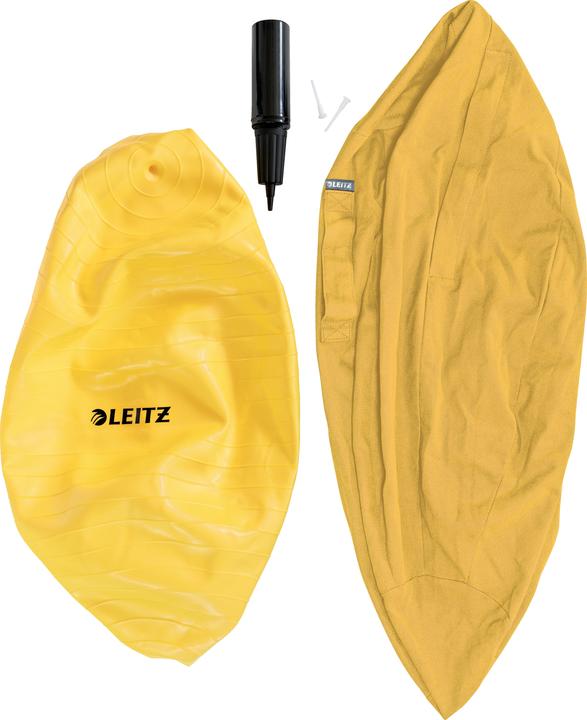 Image du produit Leitz Ballon-siège Ergo Cosy Active (65 cm)