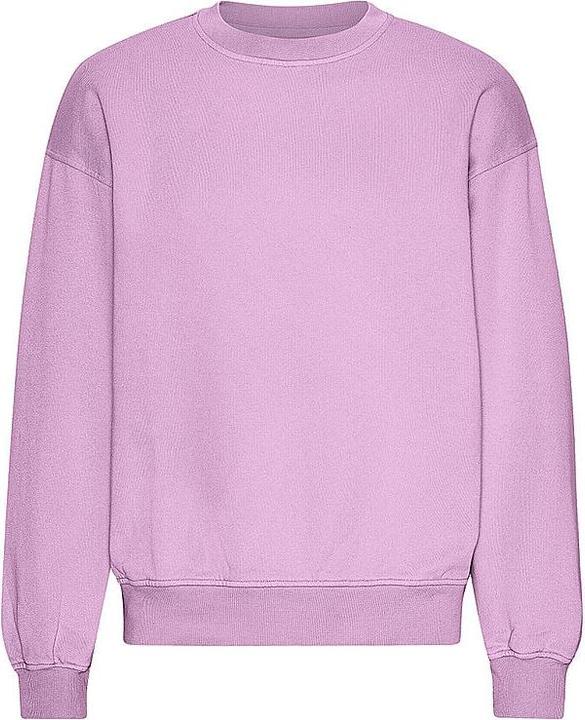 Produktbild Colorful Standard Sweater (L)