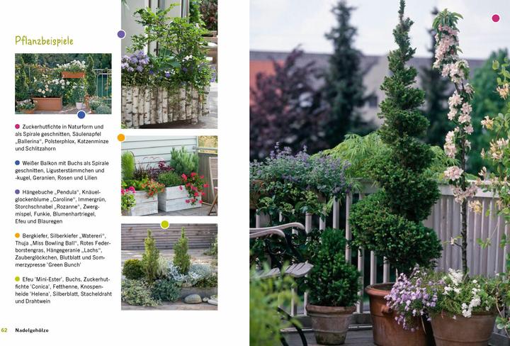 Immagine prodotto Der immergrüne Balkon. Ganzjährig gestalten mit winterharten Pflanzen (Tedesco, Ursula Kopp, 2024)