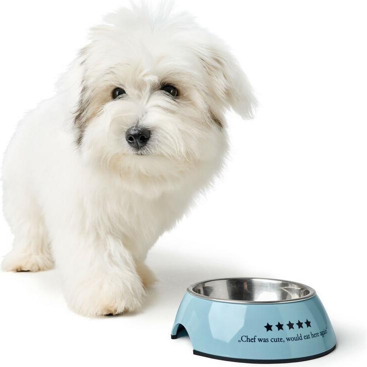 Mangeoire pour chiens Hunter Mayfair Bleu 350 ml