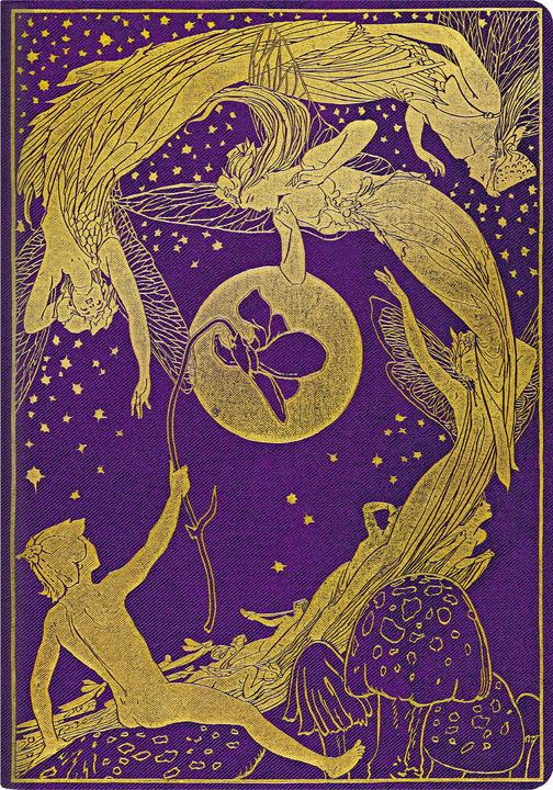Actual product image Paperblanks Notizheft A4 Violet Fairy (A4, Dotted, Hardcover)