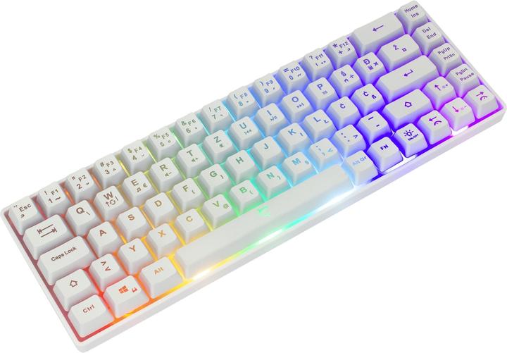 Actual product image shark WhiteShark membrane RONIN (USA, Cable)