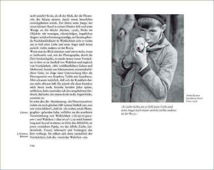 Produktbild Die helle Kammer (Deutsch, Roland Barthes, 2009)