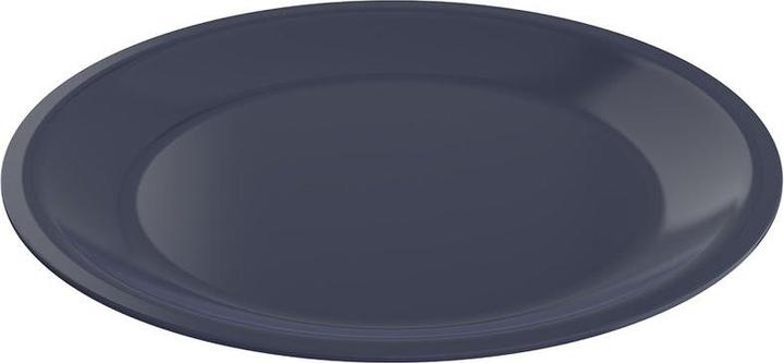 Actual product image Rotho Teller flach 26 cm ECO CARUBA - Holzkohle schwarz gedeckt